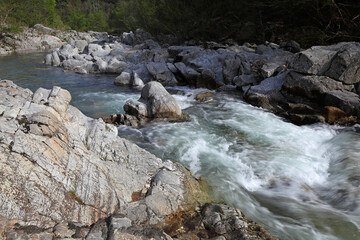 Closeup shot of a beautiful lake flowing in the forest