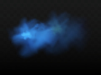 White smoke puff isolated on transparent background.. PNG. . Vector illustration.
