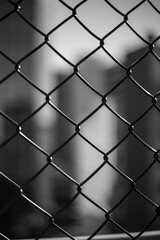 Black and White Wire fence