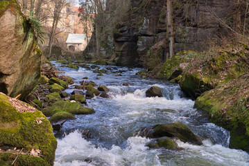 Scenic view of a river flowing in the forest in Saxon Switzerland surrounded by dry nature