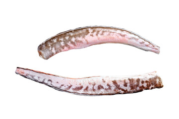 Raw king klip, congrio fish.  Isolated, transparent background