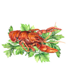 Watercolor illustration of juicy, red boiled crayfish with parsley isolated on transparent background