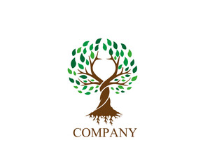 Tree Company Logo 