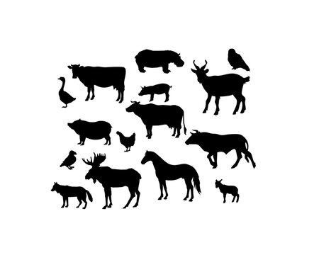 Animals Silhouette Pack
