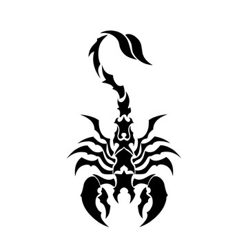 illustration vector graphic of tribal art scorpion symbol