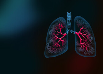 Lungs of a healthy person in pink and blue color on a dark background. Lung diseases. Lung disease. Pneumonia. Healthy lungs. Human organs.