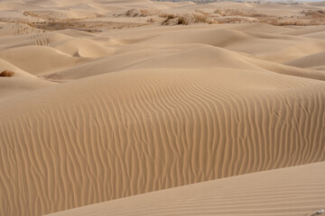 Fine sand in the desert on a hot sunny day