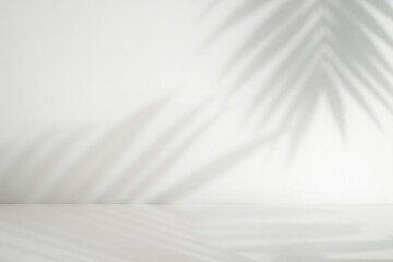 Palm leaf shadow overlay. Minimalist shadow overlay for product placement. Aesthetic perspective product display
