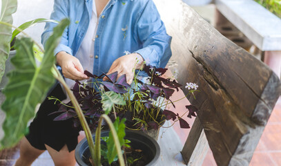 Elder asian woman relax at home garden backyard with plants