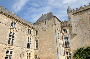 Fototapeta na wymiar the castle of Vayres in Gironde