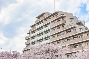 Typical residential apartment building and sakura cherry blossoms in full bloom, Tokyo, Japan
