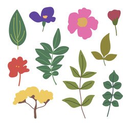 Spring, flower, leaf, nature, plant illustration set. Hand drawn graphic design.