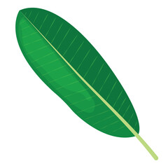 Vector cartoon image of tropical leaves. The concept of summer and a trip. A botanical element for your design.