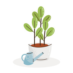 Potted plant and watering can