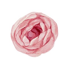 Watercolor botanical clipart with pink rose