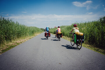 Familie auf einer Fahrradtour durch die Rieselfelder bei Münster in den Sommerferien, Deutschland