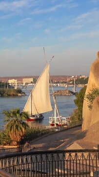 Beautiful landscape with felucca boats on Nile river in Aswan at sunset, Egypt. Vertical video