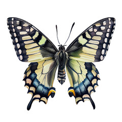 Swallowtail  buterfly. Watercolor with transparent background. Generative AI