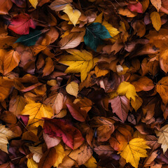 Leaves of trees in different times of the year - Laub von B&auml;umen in den Jahreszeiten
