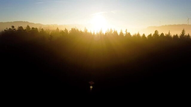 Aerial view of a forest during a beautiful sunset