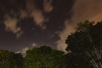 sky with clouds and stars