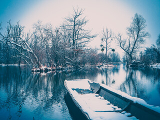 Fototapeta na wymiar Low angle view of beautiful trees near the water in Germany in winter