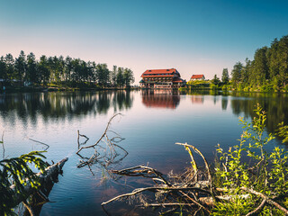 Fototapeta premium Aerial view of a beautiful forest near the lake in Germany