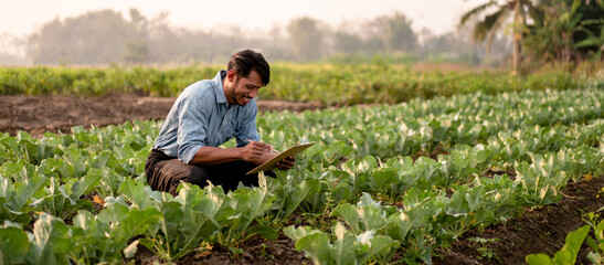 Smart farmer examining quality crop of cabbage vegetables and wr