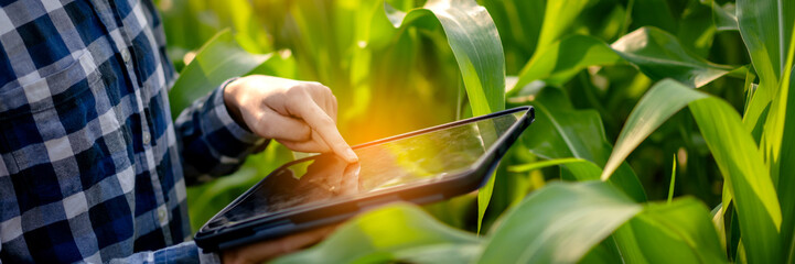 Smart farmer using digital tablet to examining quantity and qual
