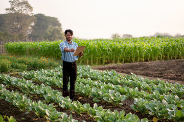 Smart farmer examining quality crop of cabbage vegetables and ch