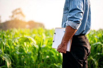 Smart farmer holding document clipboard to examining quality cro