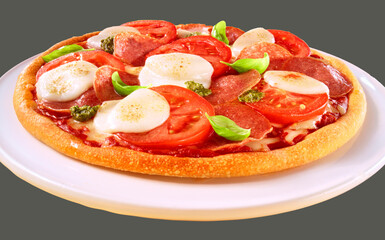 Pizza mit Tomate Mozzarella und Salami plus Basilikum.