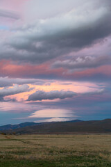 Vertical of a green field covered with shrubs and bushes in Washoe Valley, Nevada at sunset