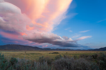Scenic view of a green field covered with shrubs and bushes in Washoe Valley, Nevada at sunset