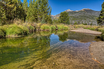 Fototapeta na wymiar A water stream in the middle of green forest and mountains in Coyote Valley Trail in Colorado