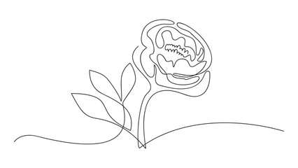 Peony Flower Continuous Line. Line Art Drawing.Vector