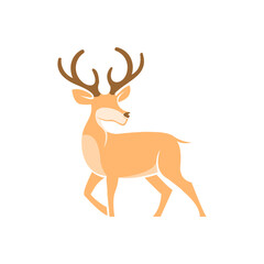 A deer with antlers on a white background