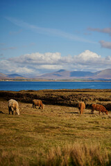 Irland