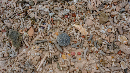 stone wall background coral 