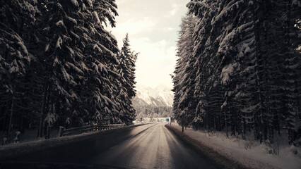 Fototapeta premium Scenic view of an asphalt road through a snowy forest in the Alps