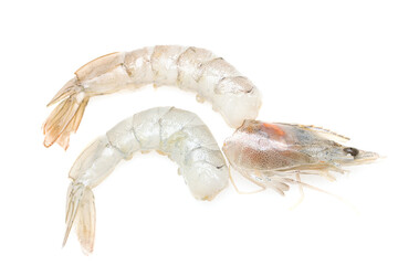 fresh shrimp on white background