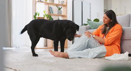 Woman, sad and dog in a home with pet owner love, support and sadness feeling relax. Dogs scratch,...