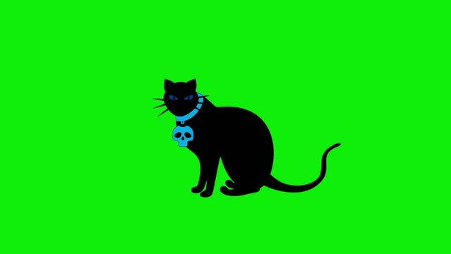 Animated black cat wearing a skull necklace, with green screen background, perfect for icons, mascot, halloween, etc.