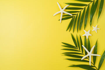 Summer vacation abstract background with palm tree leaves and starfish. Top view from above