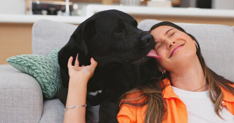 Relax, sofa and woman pet dog for love, support and animal care in living room for trust, chill and...