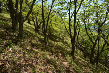 Climbing Mt. Nakakura, Tochigi, Japan