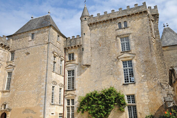 Fototapeta na wymiar the castle of Vayres in Gironde