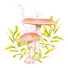 Floral Mushrooms