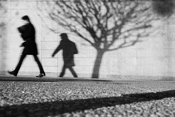 street photo ombre et nature urbaine