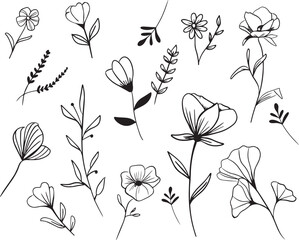 Set of hand drawn flowers and leaves